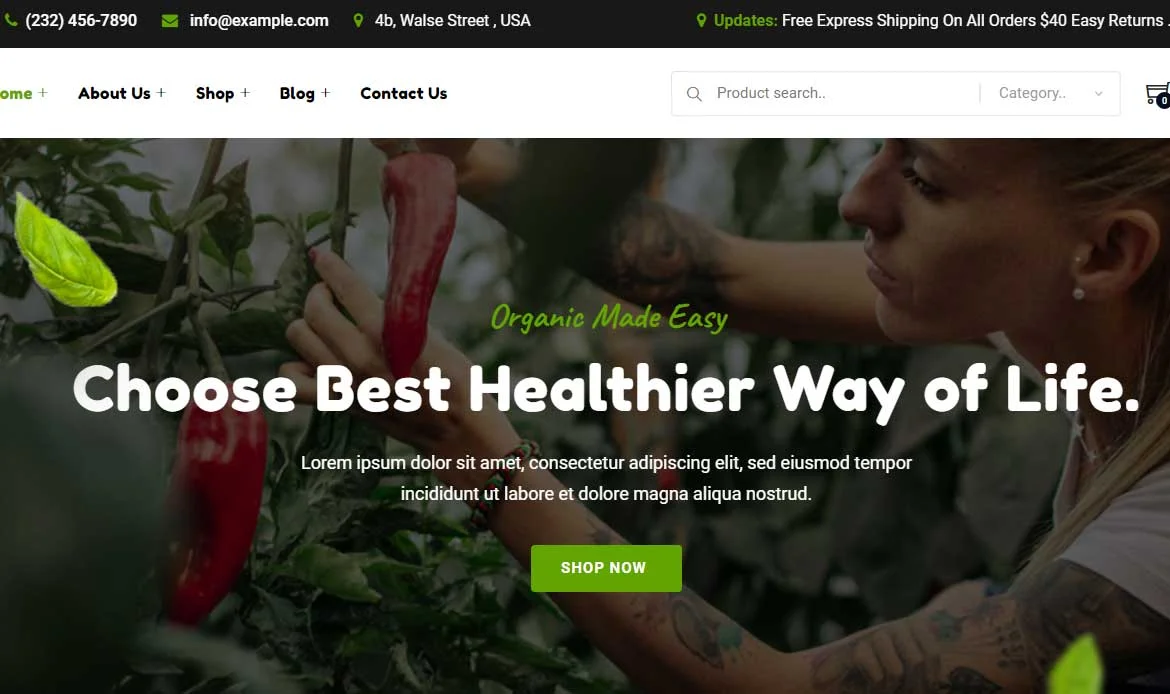 Business Landing Page Design